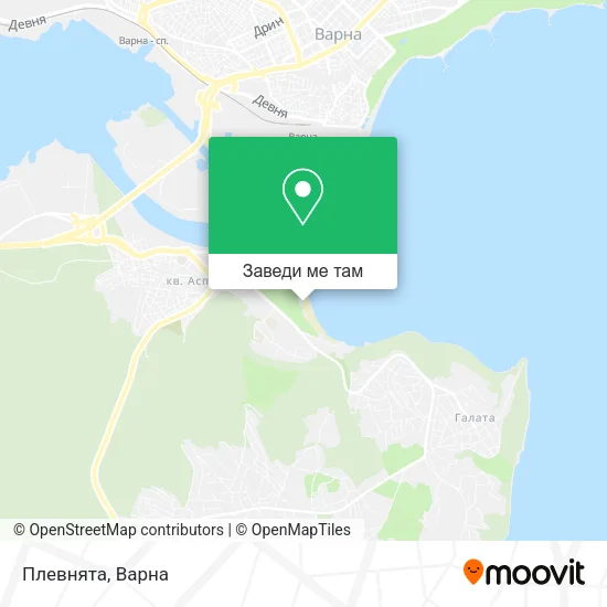 Плевнята карта