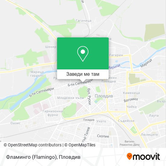 Фламинго (Flamingo) карта