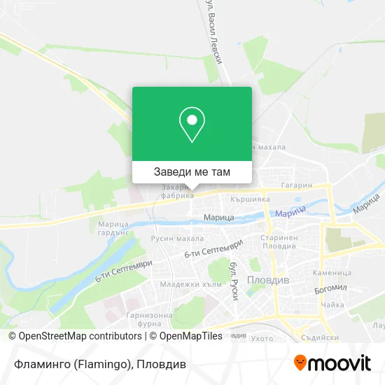 Фламинго (Flamingo) карта
