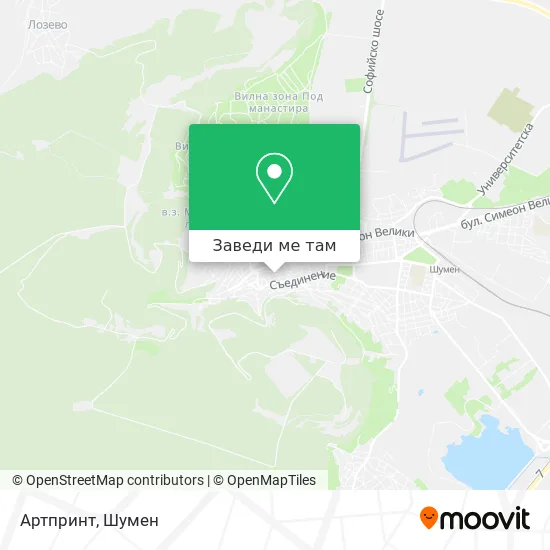 Артпринт карта