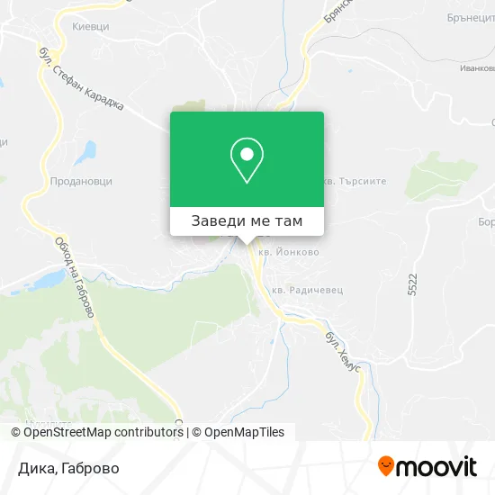Дика карта