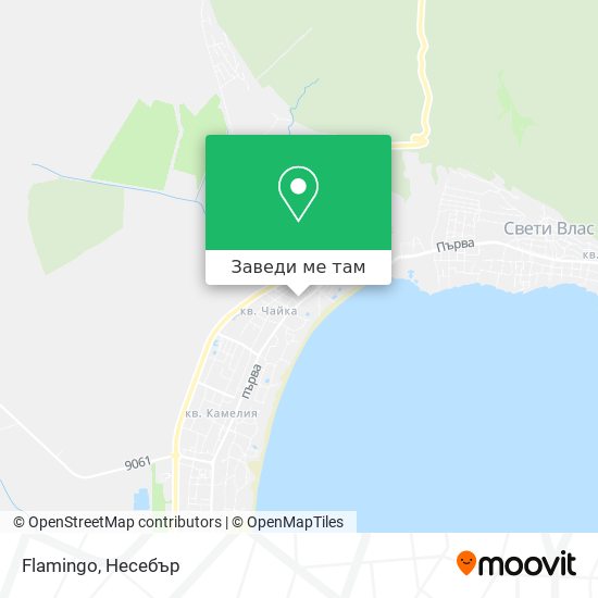 Flamingo карта