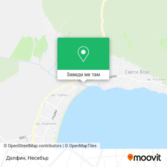 Делфин карта