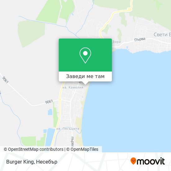 Burger King карта