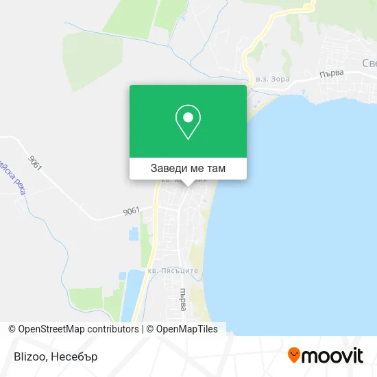 Blizoo карта