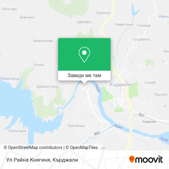 Ул.Райна Княгиня карта