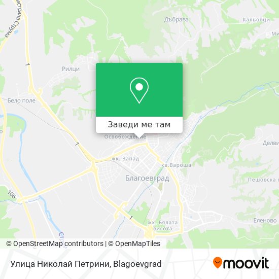 Улица Николай Петрини карта