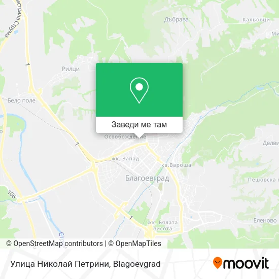 Улица Николай Петрини карта