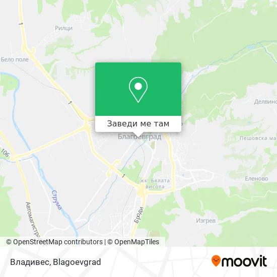 Владивес карта