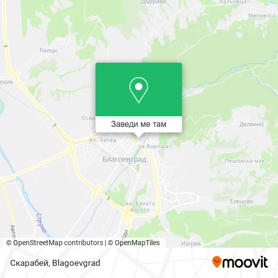 Скарабей карта