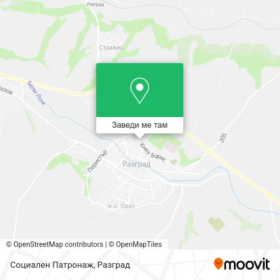 Социален Патронаж карта