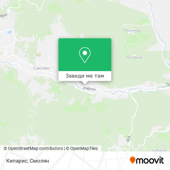 Кипарис карта
