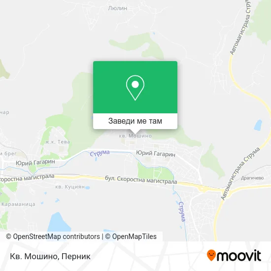Кв. Мошино карта