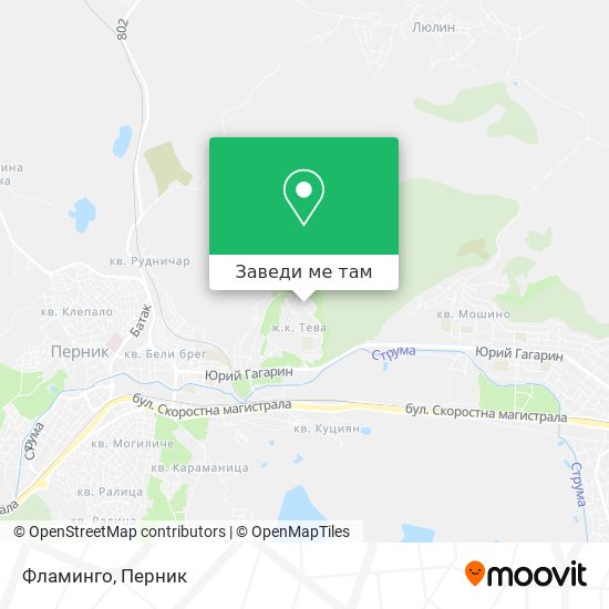 Фламинго карта