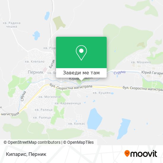 Кипарис карта