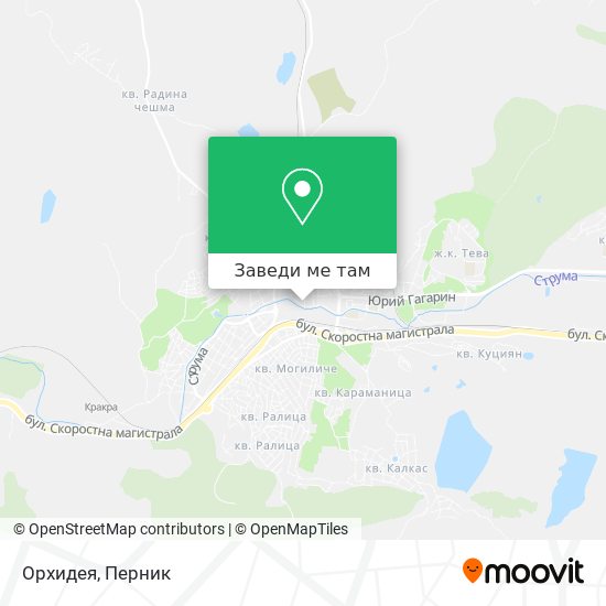 Орхидея карта