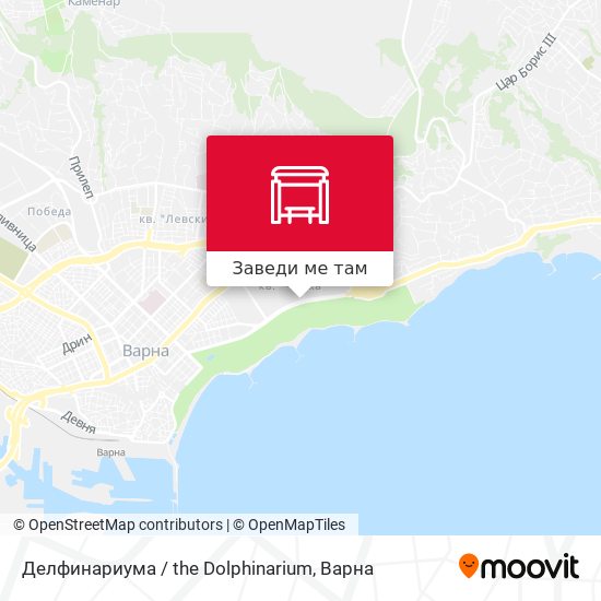 Делфинариума / the Dolphinarium карта
