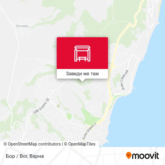 Бор / Bor карта