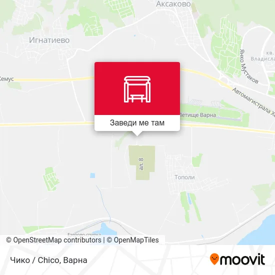 Чико / Chico карта