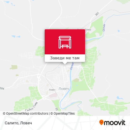Салито карта