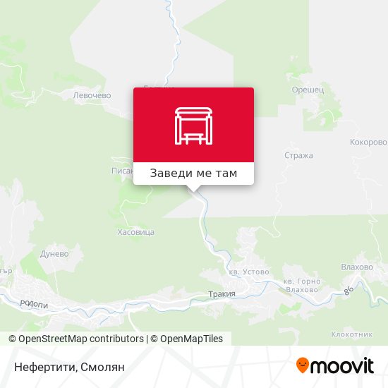 Нефертити карта