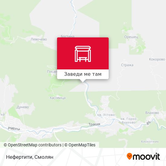 Нефертити карта