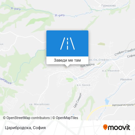Царибродска карта