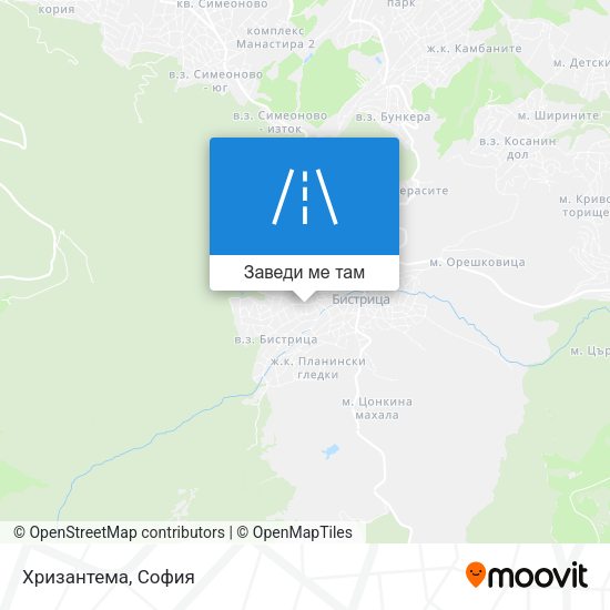 Хризантема карта