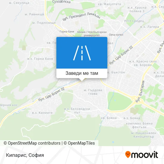 Кипарис карта