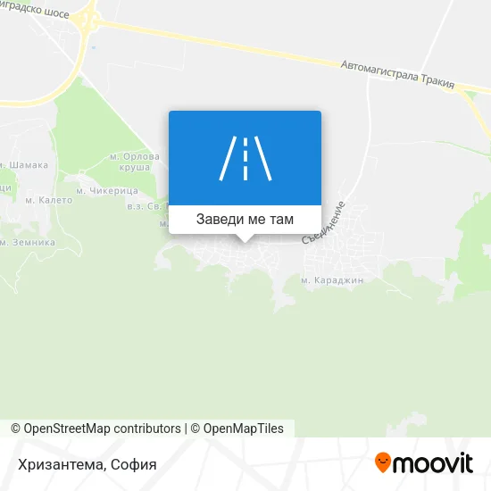 Хризантема карта