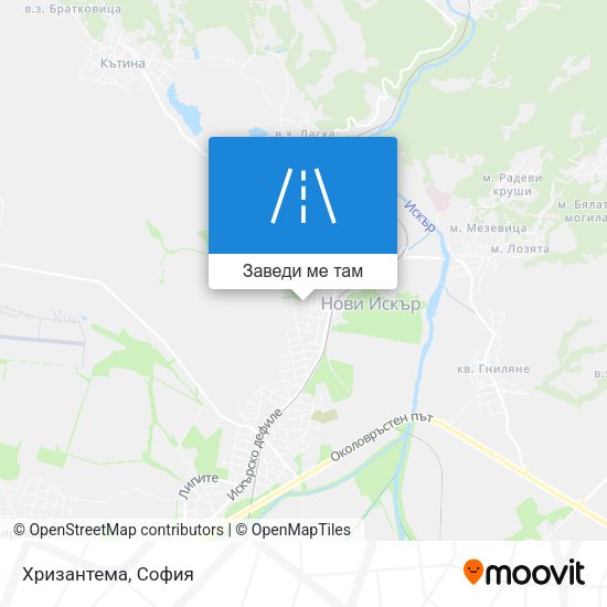 Хризантема карта