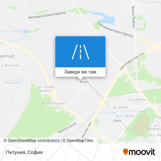 Петуния карта
