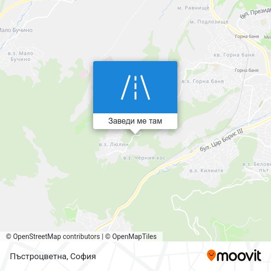 Пъстроцветна карта