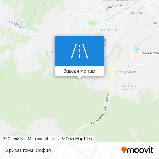 Хризантема карта
