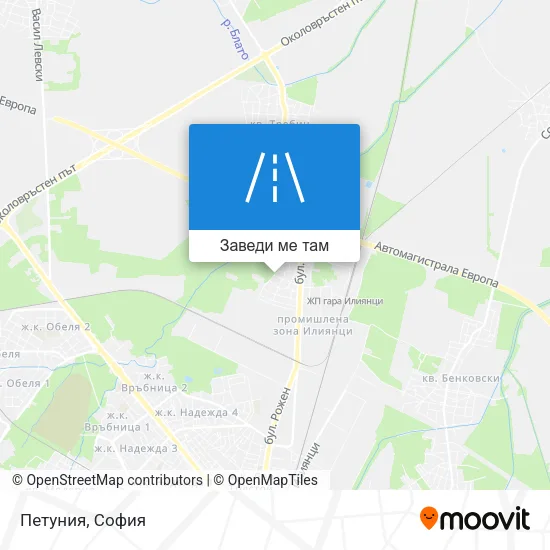 Петуния карта