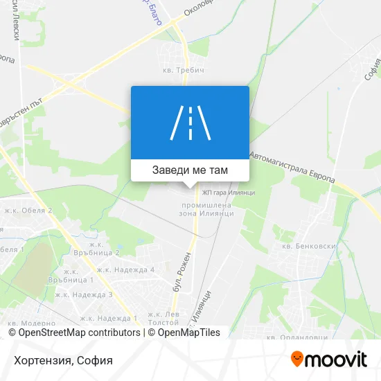 Хортензия карта