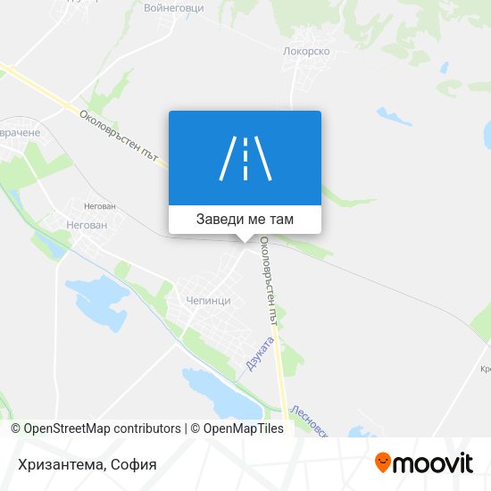 Хризантема карта