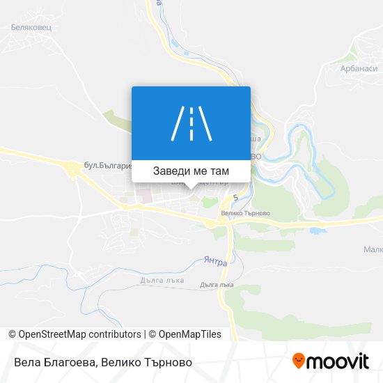 Вела Благоева карта