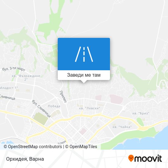 Орхидея карта