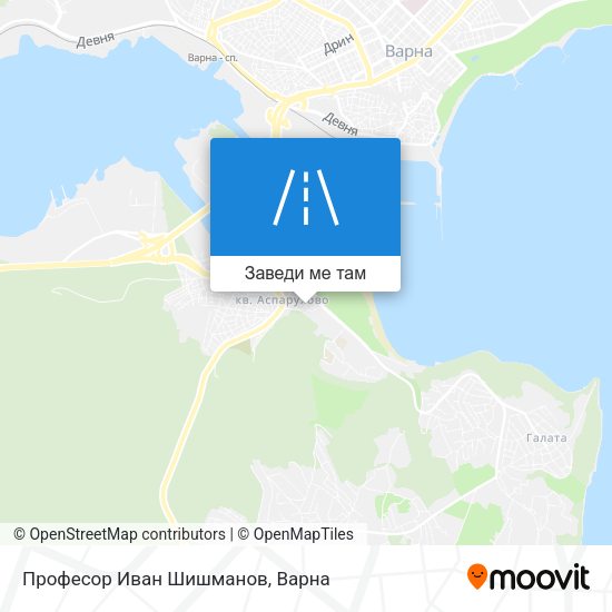Професор Иван Шишманов карта