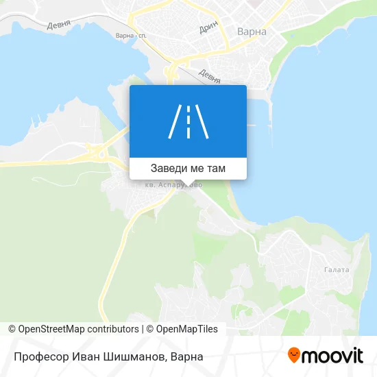 Професор Иван Шишманов карта