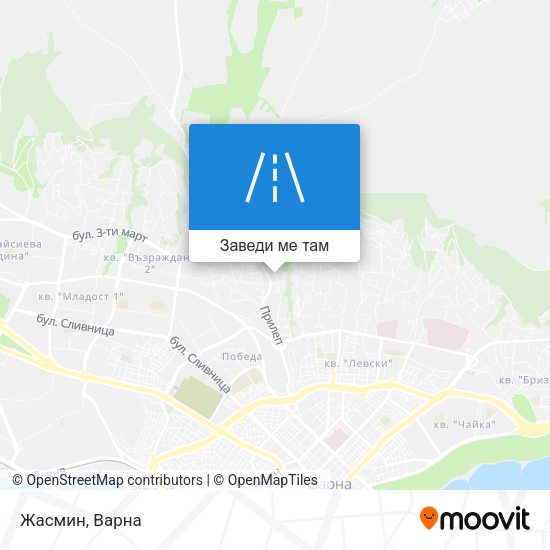 Жасмин карта