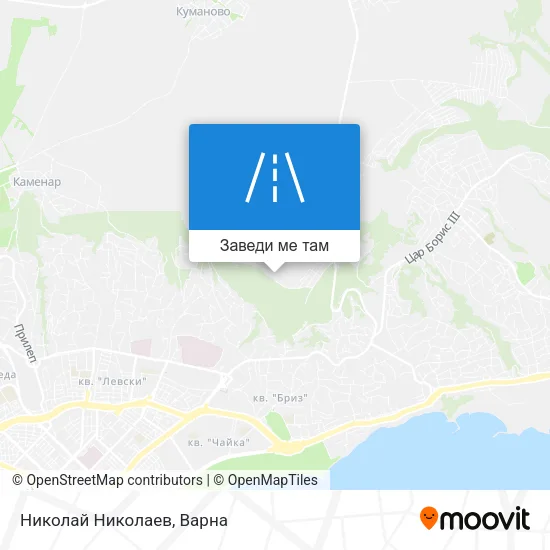 Николай Николаев карта