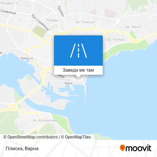 Плиска карта