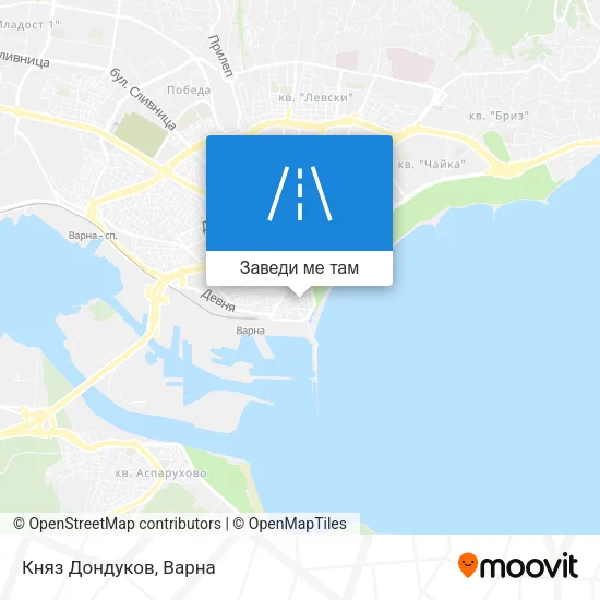 Княз Дондуков карта