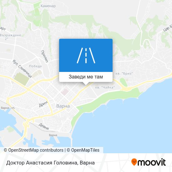 Доктор Анастасия Головина карта