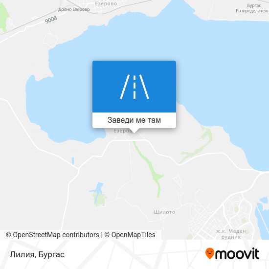 Лилия карта