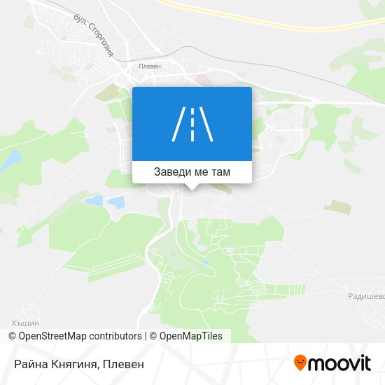 Райна Княгиня карта
