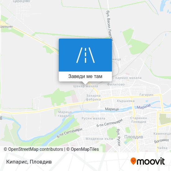 Кипарис карта