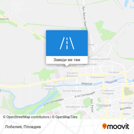 Лобелия карта
